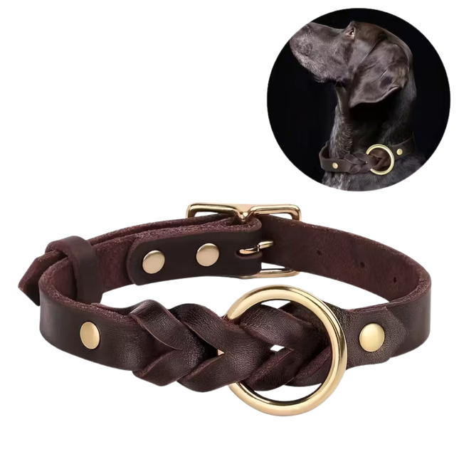 Leder Hundehalsband