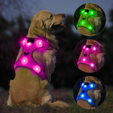 LED-Hundegeschirr