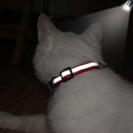 Katzenhalsband, Pink