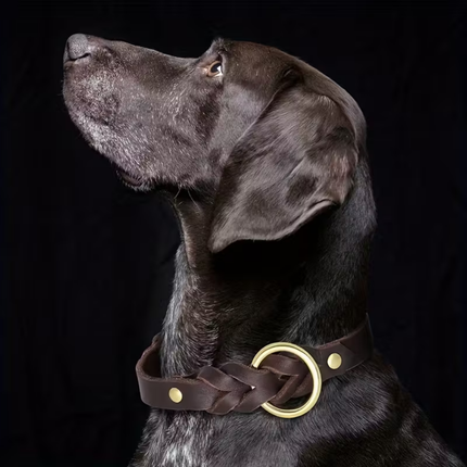 Leder Hundehalsband