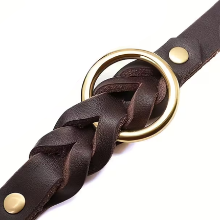 Leder Hundehalsband