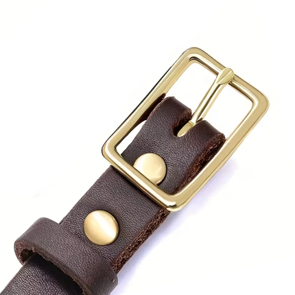 Leder Hundehalsband
