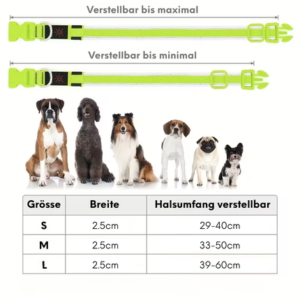 Leuchthalsband Hund
