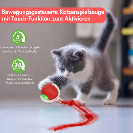 Interaktives Katzenball mit LED Licht