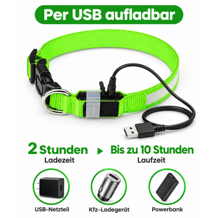 Leuchthalsband Aufladbar