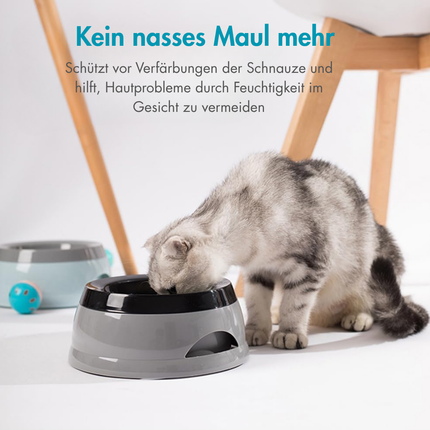 Wassernapf für Hunde Unterwegs