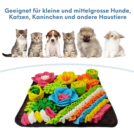 Schnüffelteppich Hund