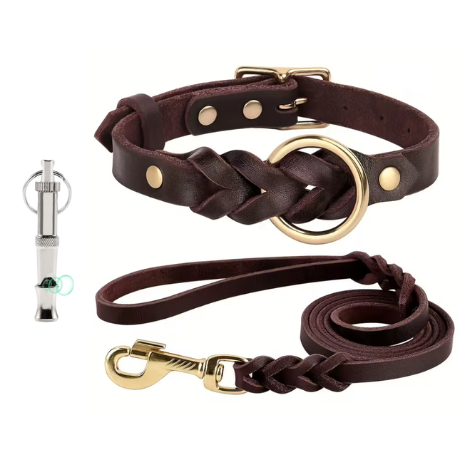 Leder Hundeleine und Halsband Set