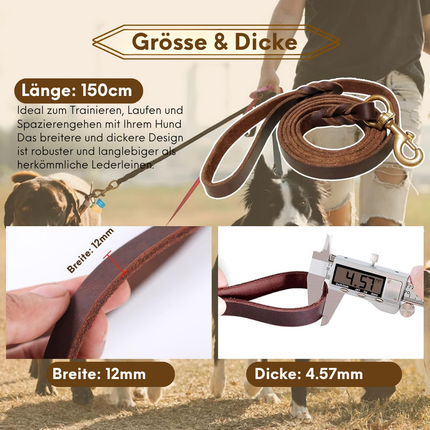 Leder Hundeleine und Halsband Set