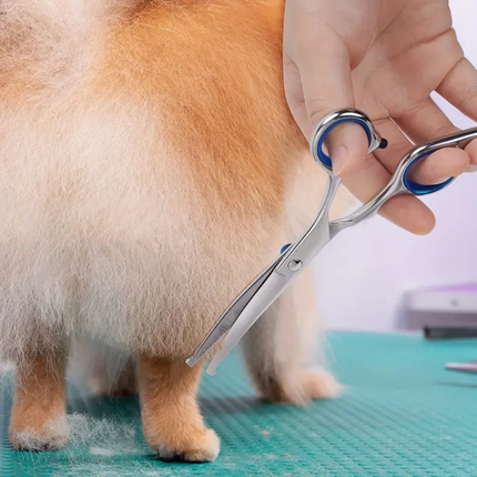 Gebogene Schere für Hunde und Katzen