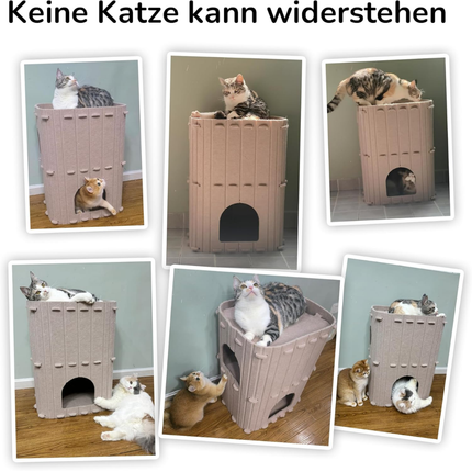 Katzenhöhle