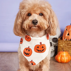 Weiss&Orange / Small