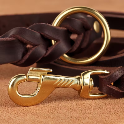 Leder Hundeleine und Halsband Set