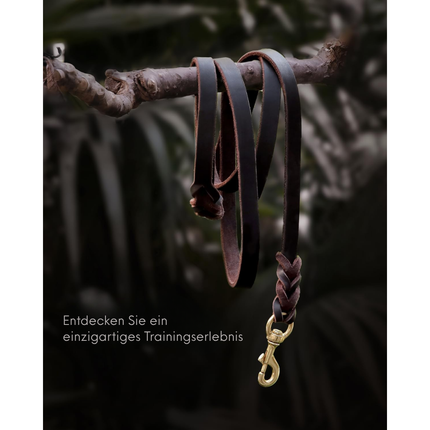 Leder Hundeleine und Halsband Set