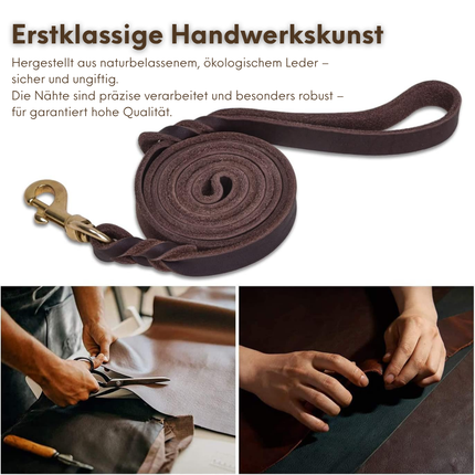 Leder Hundeleine und Halsband Set