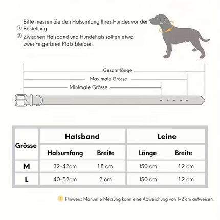 Leder Hundeleine und Halsband Set