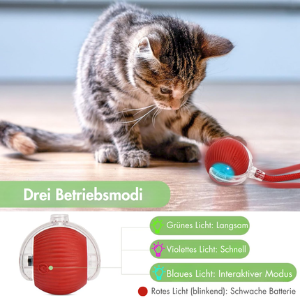Interaktives Katzenball mit LED Licht