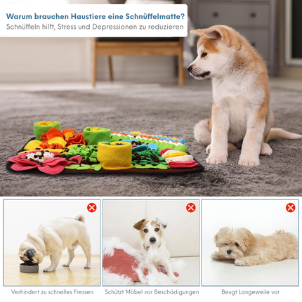 Schnüffelteppich Hund