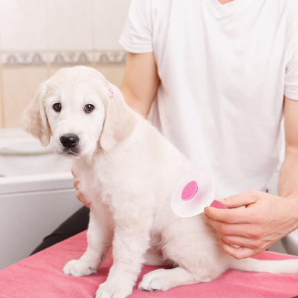Hundebürste Katzenbürste, Pink