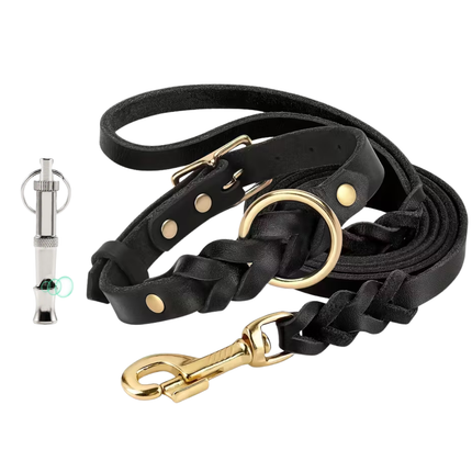 Leder Hundeleine und Halsband Set