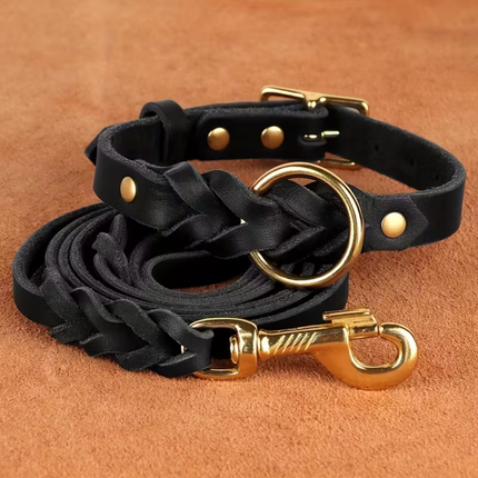 Leder Hundeleine und Halsband Set