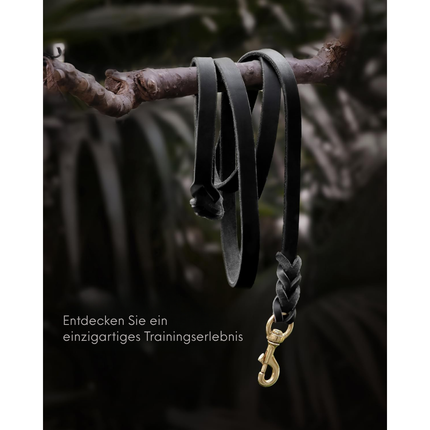 Leder Hundeleine und Halsband Set