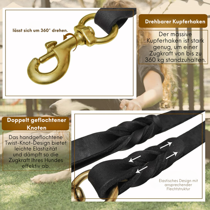 Leder Hundeleine und Halsband Set