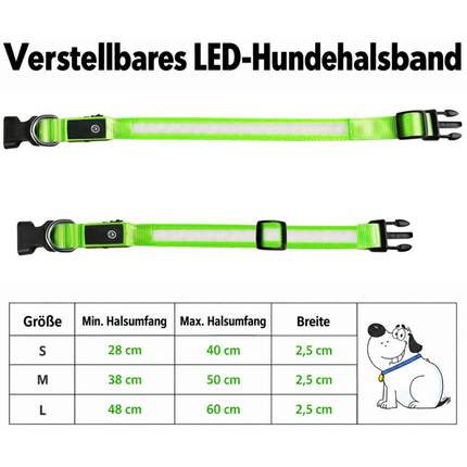 Leuchthalsband Aufladbar
