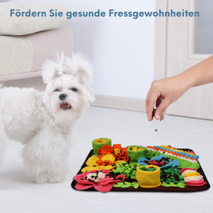 Schnüffelteppich Hund