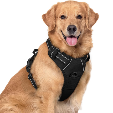 Hundegeschirr