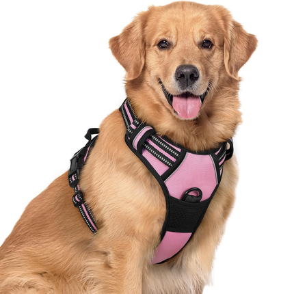 Hundegeschirr