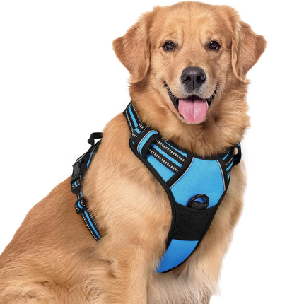 Hundegeschirr