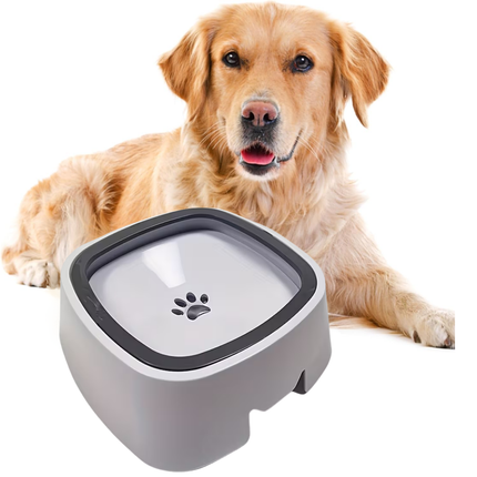 Wassernapf für Hunde Ohne Sabbern