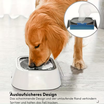 Wassernapf für Hunde Ohne Sabbern
