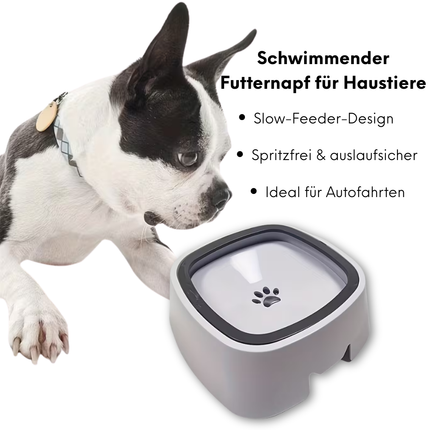 Wassernapf für Hunde Ohne Sabbern