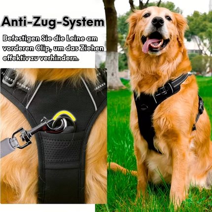 Hundegeschirr