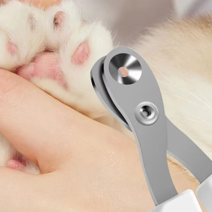 Krallenschere Katzen Schere für Anfänger toll geeigne