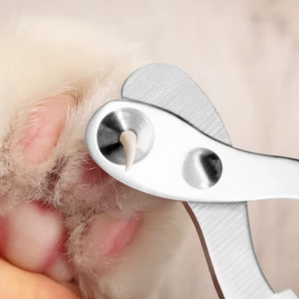 Krallenschere Katzen Schere für Anfänger toll geeigne