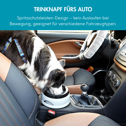 Wassernapf für Hunde Unterwegs