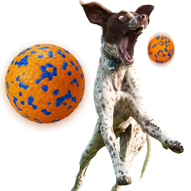 Interaktiver Hundeball
