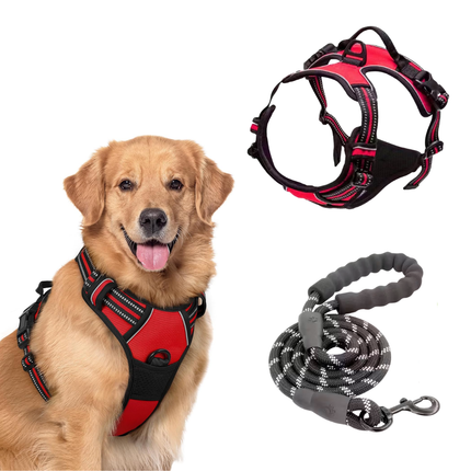 Hundegeschirr und Leine Set