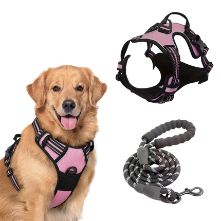 Hundegeschirr und Leine Set