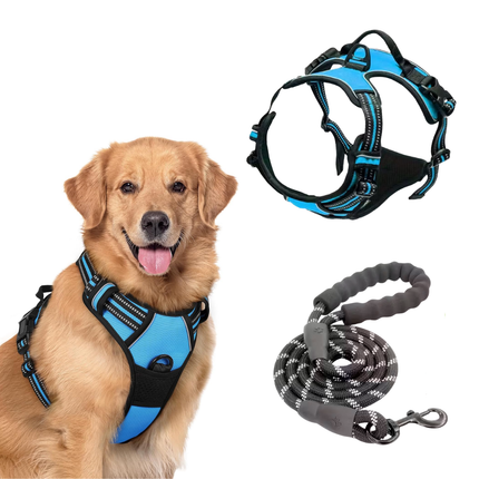Hundegeschirr und Leine Set