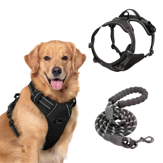 Hundegeschirr und Leine Set
