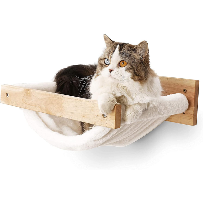Kletterwand Katzen