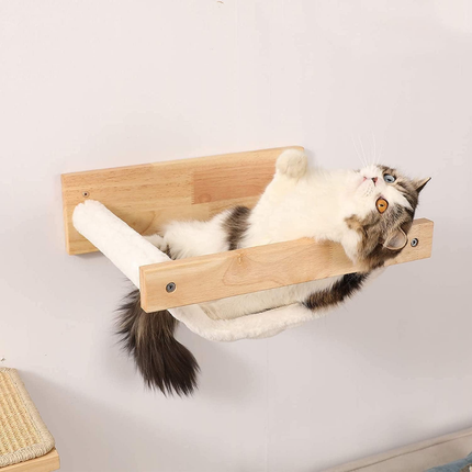Kletterwand Katzen