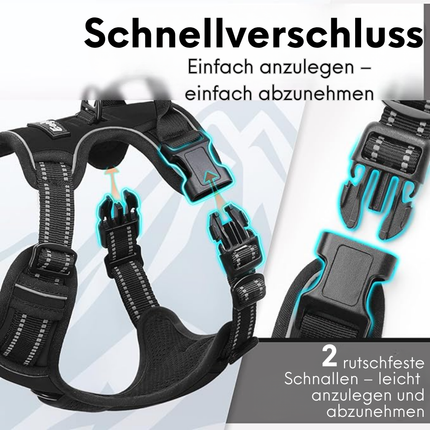 Hundegeschirr und Leine Set