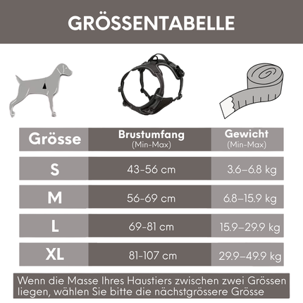 Hundegeschirr und Leine Set