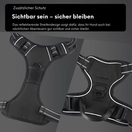 Hundegeschirr und Leine Set