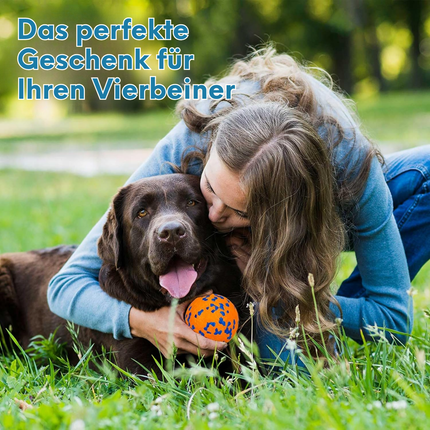 Interaktiver Hundeball
